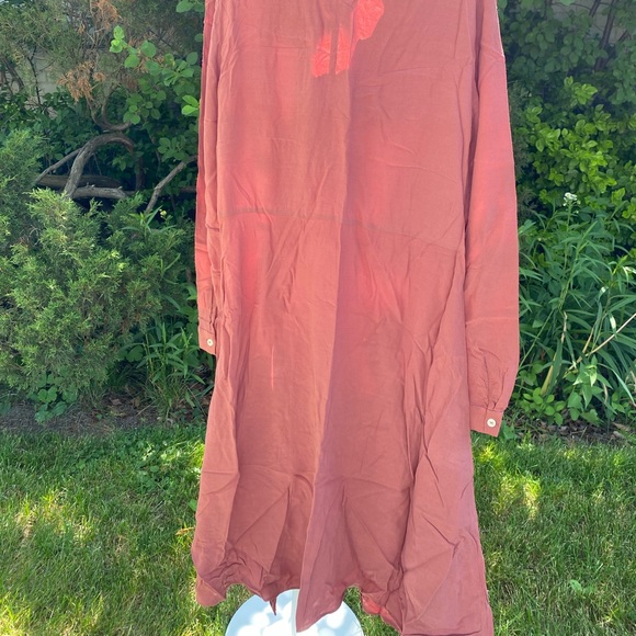 Zara Button Down Midi Dress - Picture 4 of 4